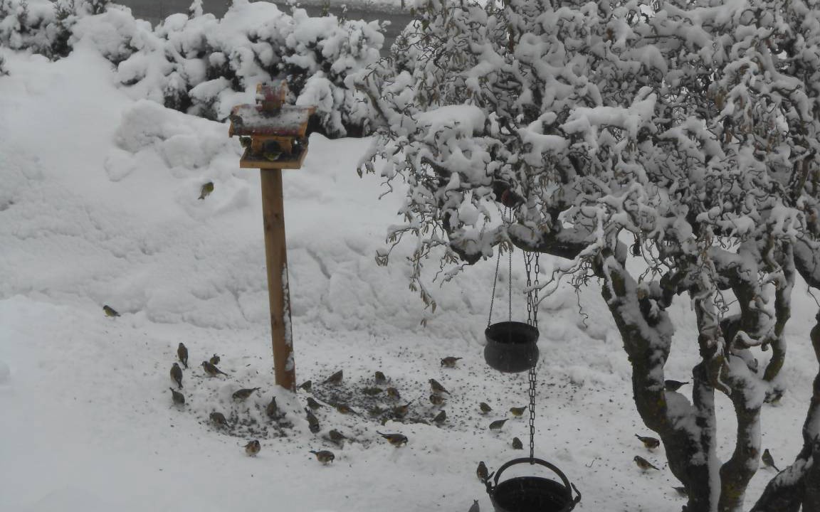 Photo of Others in Bobrach