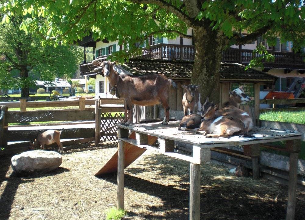 Photo of Others in Rottach-Egern