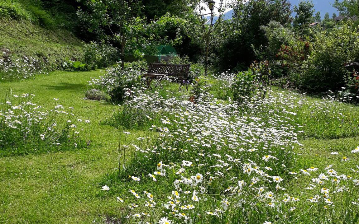 Photo of Others in Bad Wiessee