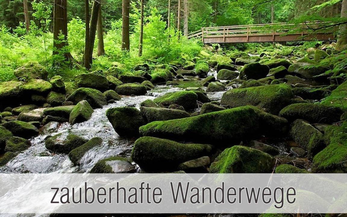 Photo of Others in Waldkirchen