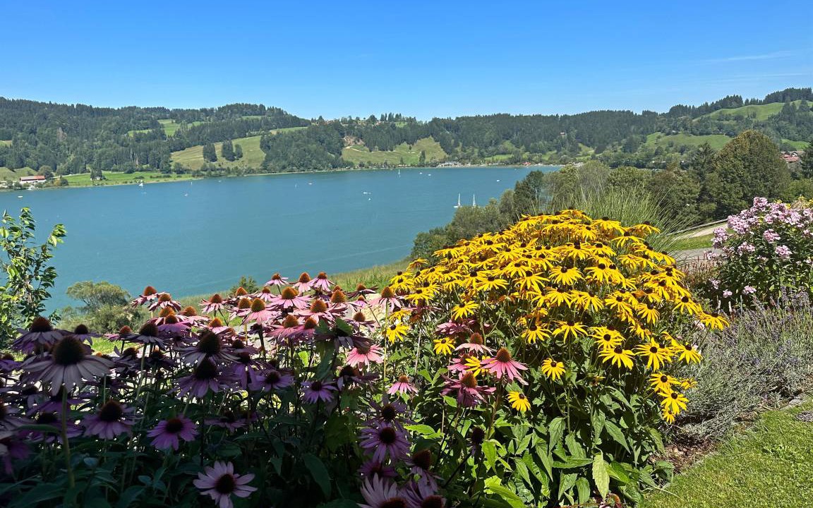 Photo of Others in Immenstadt im Allgaeu