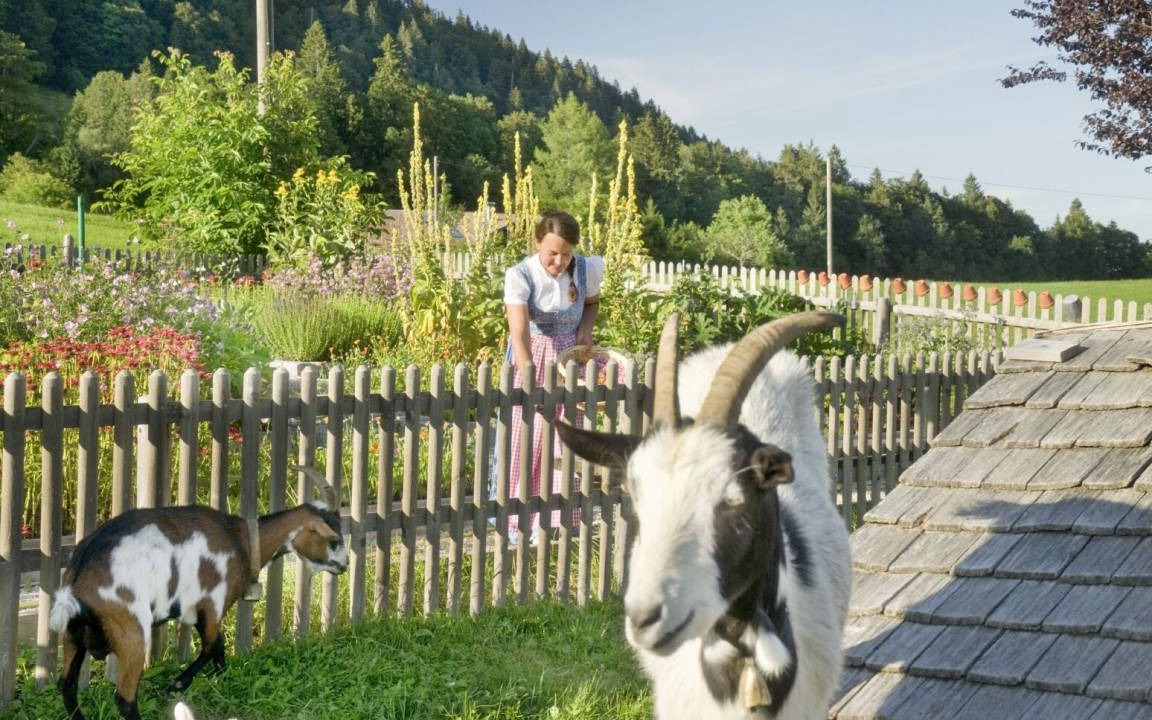 Photo of Others in Blaichach