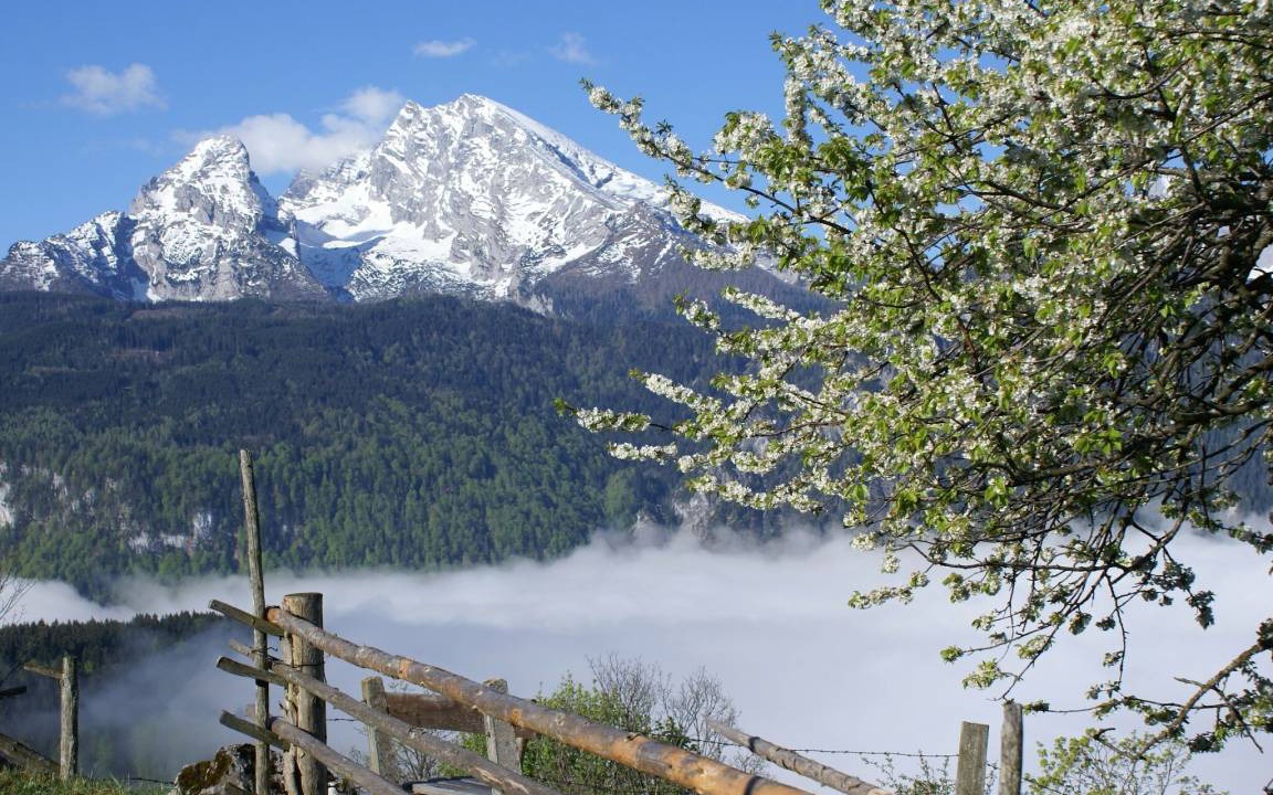 Photo of Others in Oberschonau