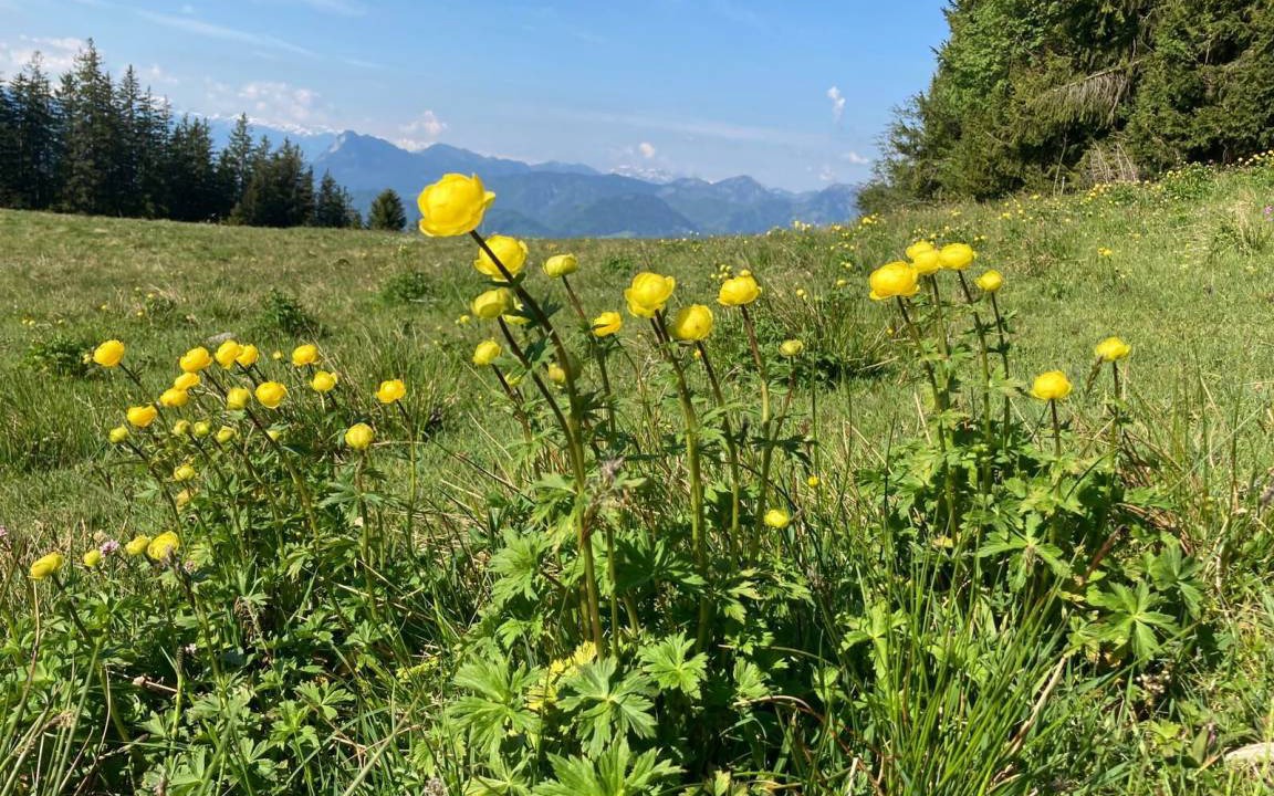 Photo of Others in Aschau im Chiemgau