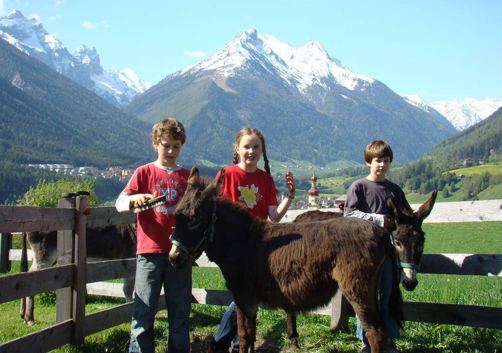 Photo of Others in Medraz