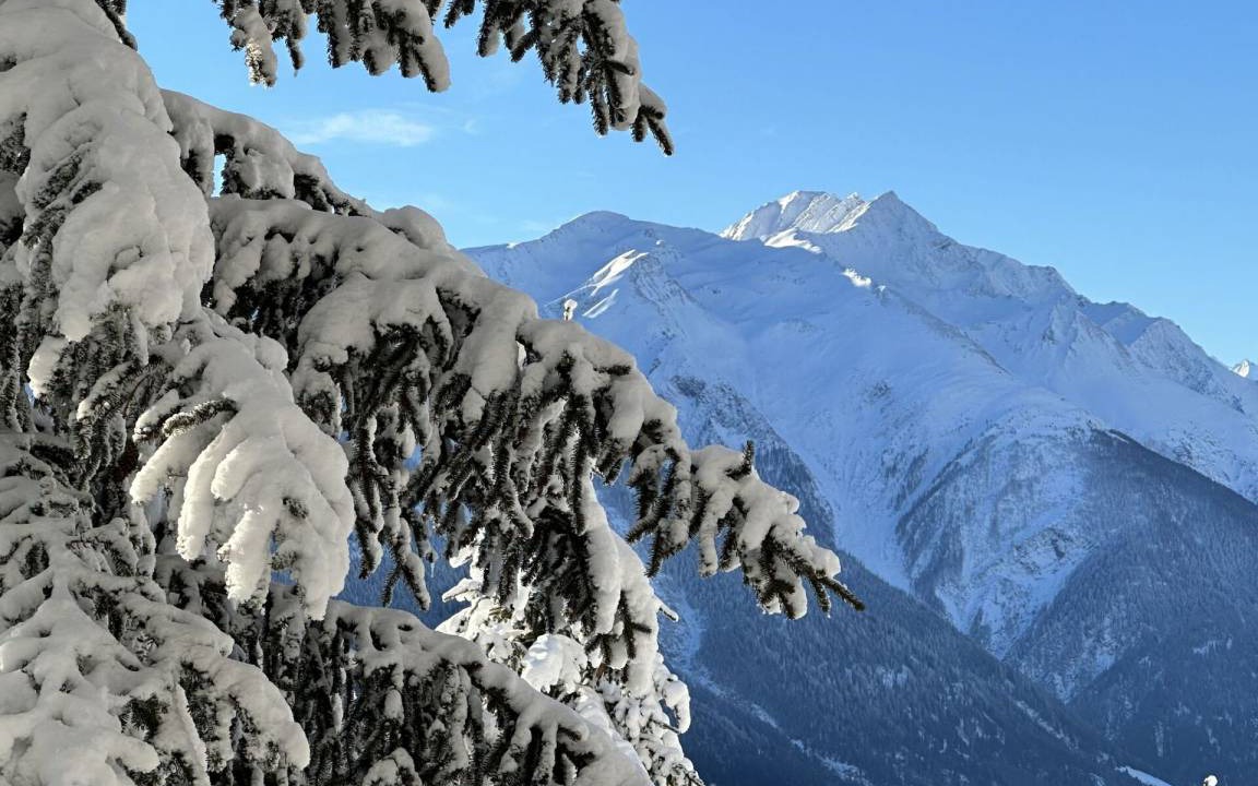 Photo of Others in Bellwald