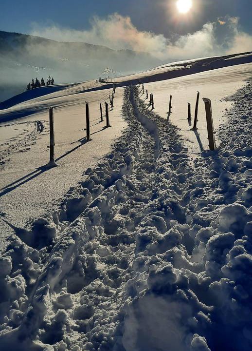 Photo of Others in Buhl am Alpsee