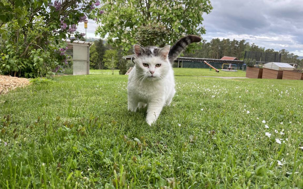 Photo of Outdoor in Spalt