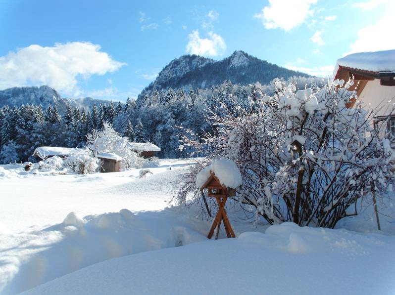 Photo of Others in Inzell