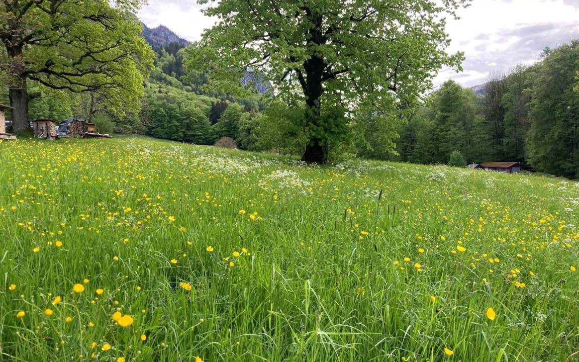 Photo of Others in Hohenaschau im Chiemgau
