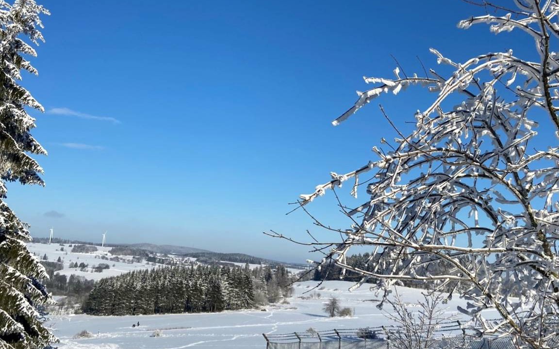 Photo of Others in Langenbach