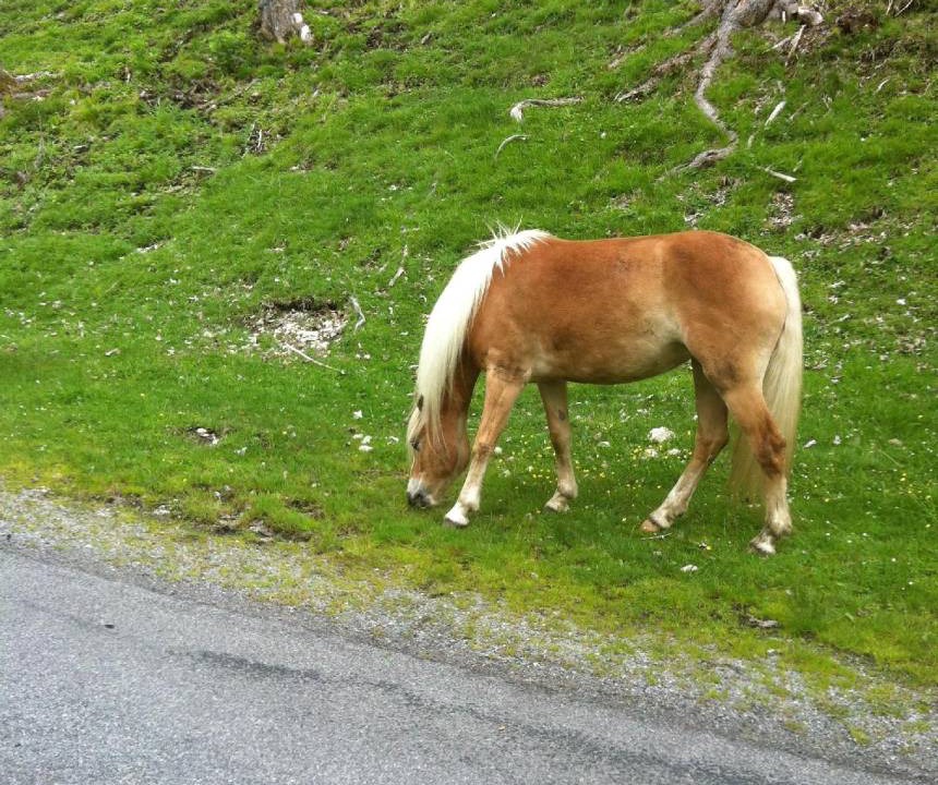 Photo of Others in Forchach