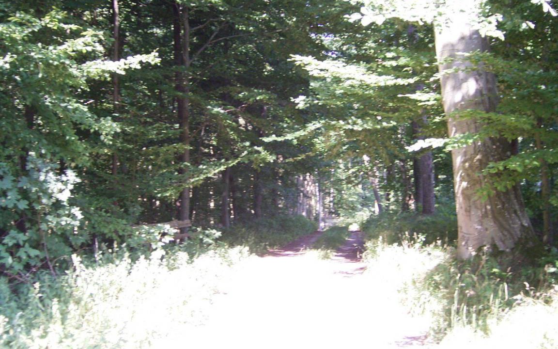 Photo of Others in Guenzburg