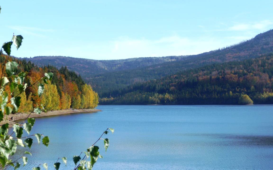 Photo of Others in Kirchdorf im Wald