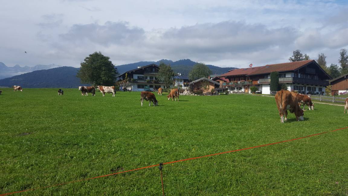 Photo of Others in Oberschonau