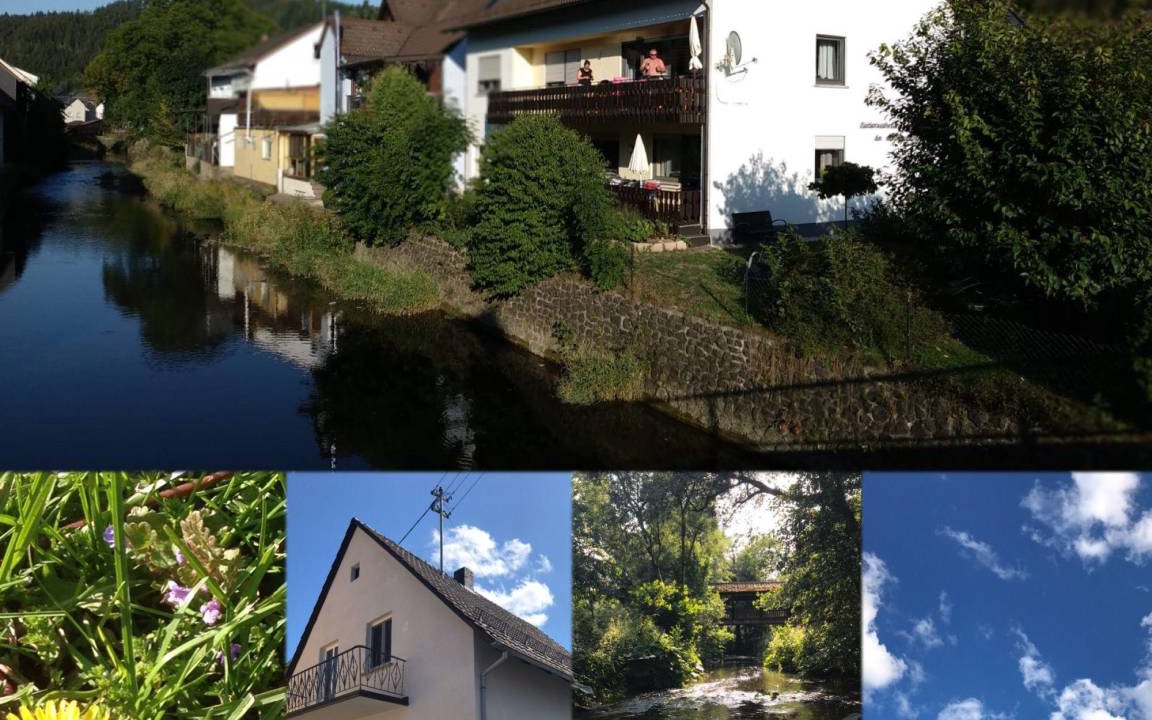 Photo of Others in Steinwiesen