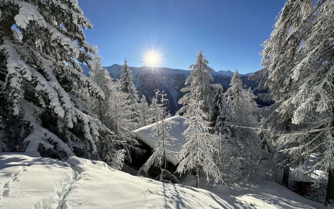 Photo of Others in Bellwald