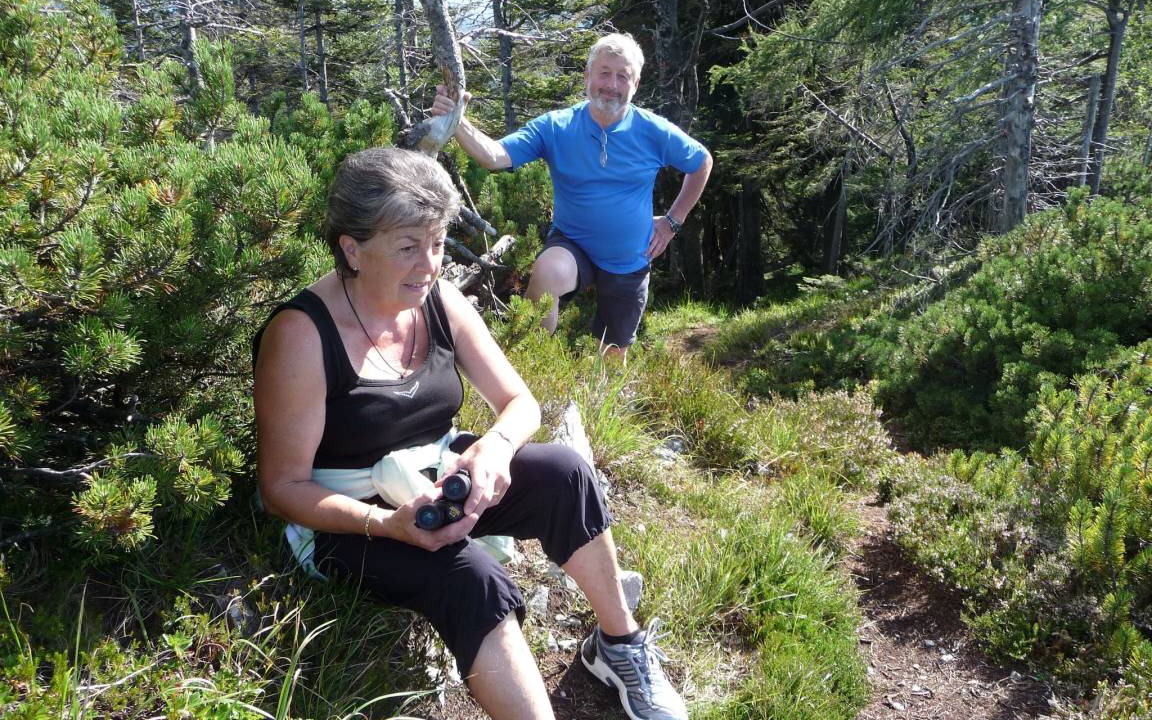 Photo of Others in Weissbach an der Alpenstrasse