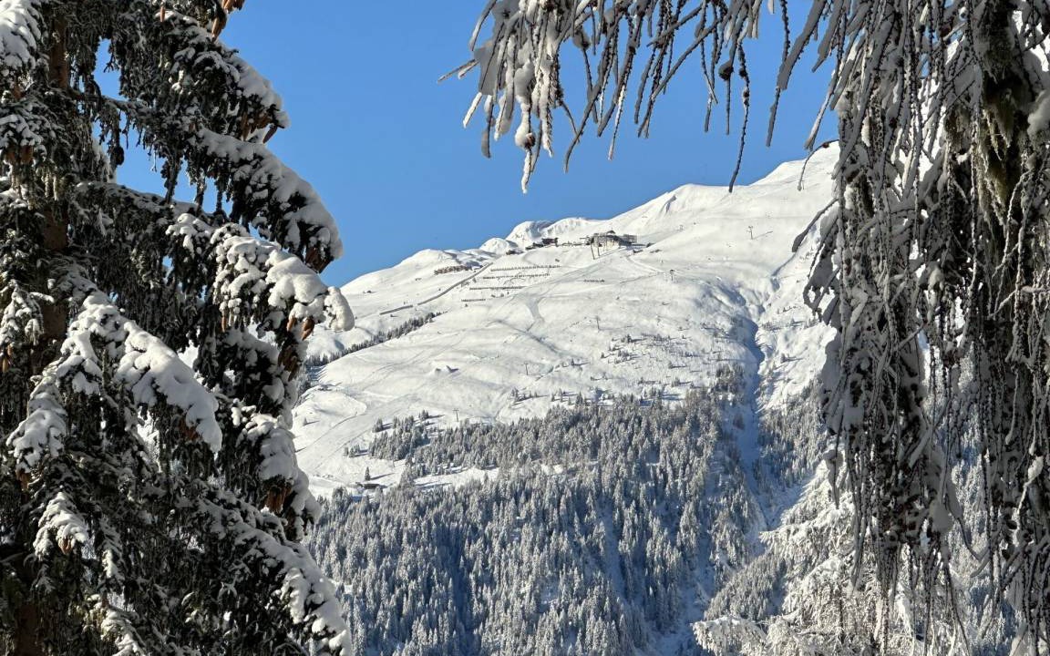 Photo of Others in Bellwald