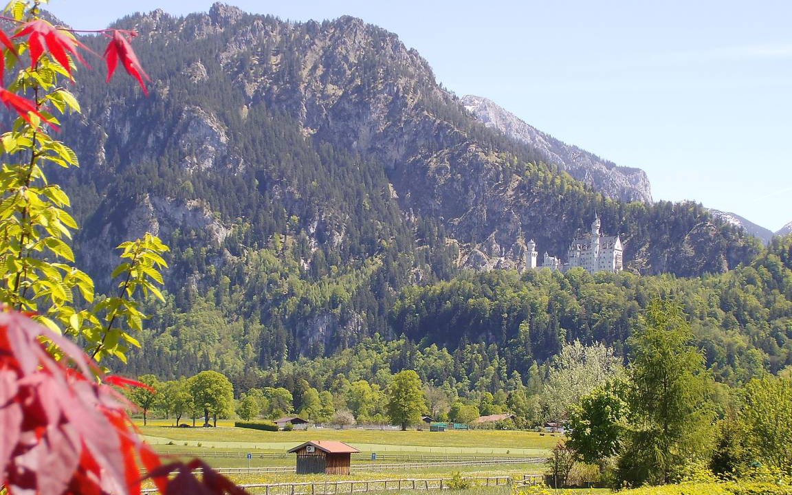 Photo of Outdoor in Alterschrofen