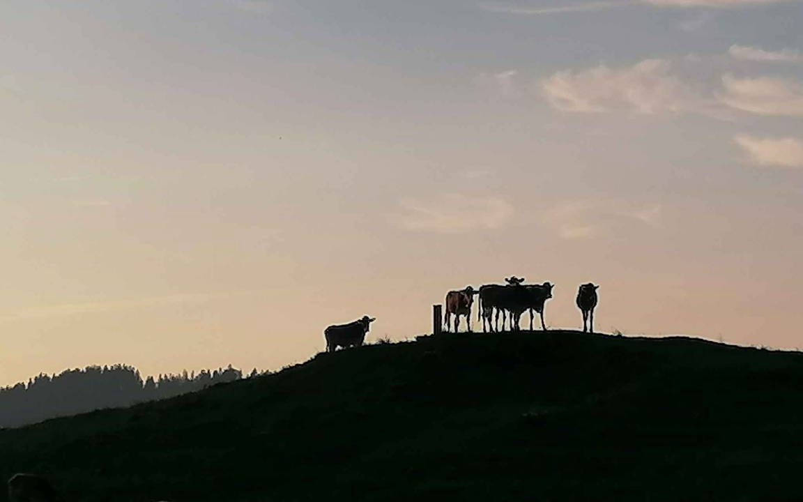 Photo of Others in Immenstadt im Allgaeu