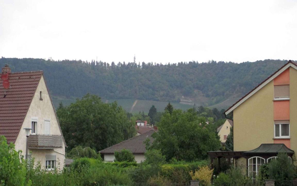 Photo of Others in Iphofen