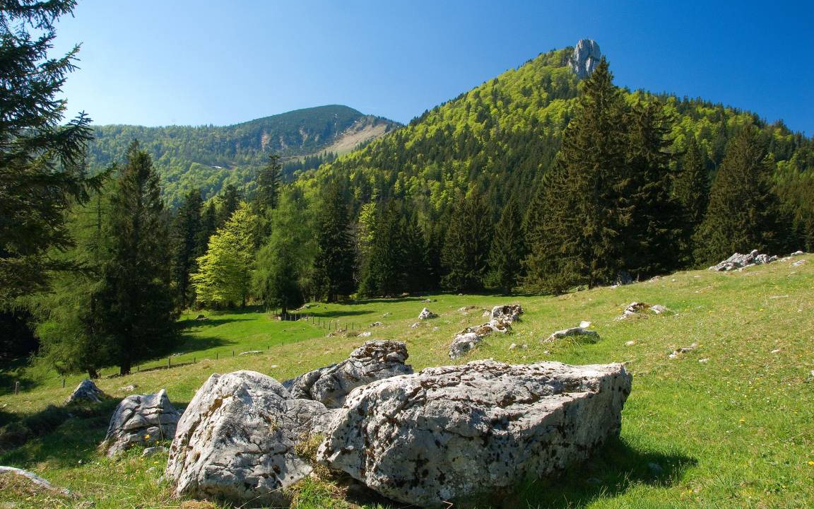 Photo of Others in Marquartstein