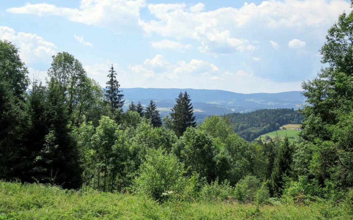 Photo of Others in Viechtach