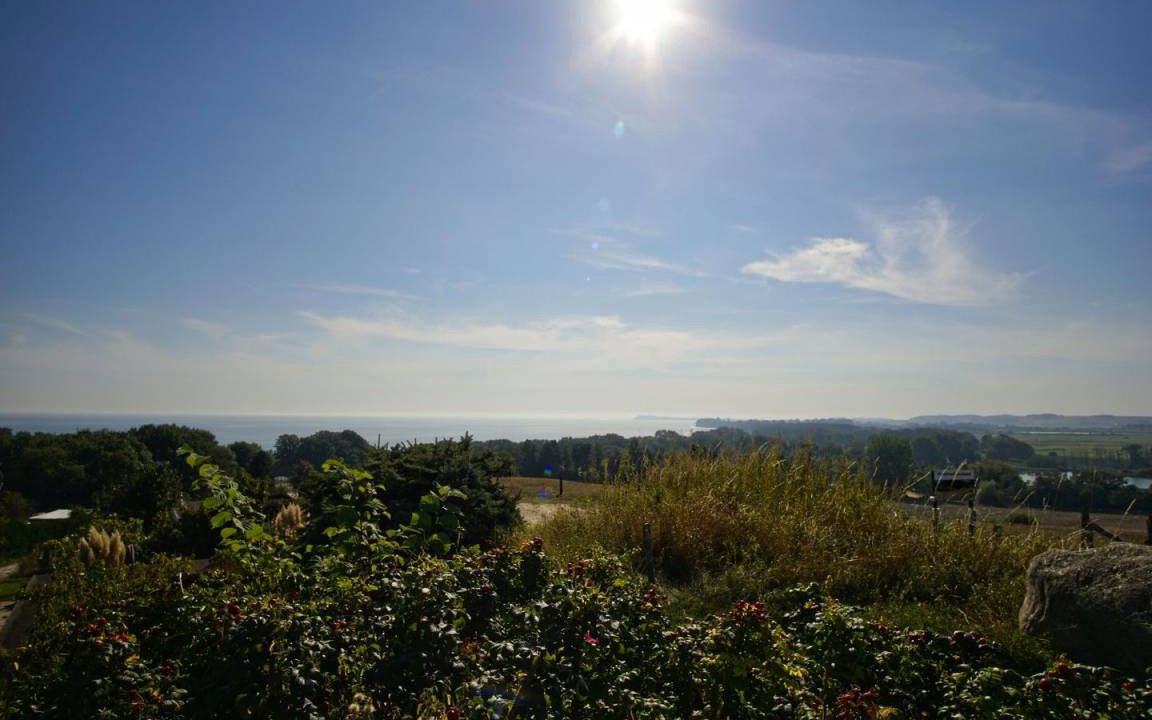Photo of Others in Gohren