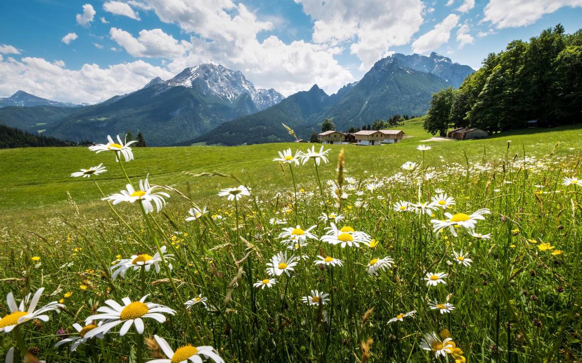 Photo of Others in Ramsau bei Berchtesgaden