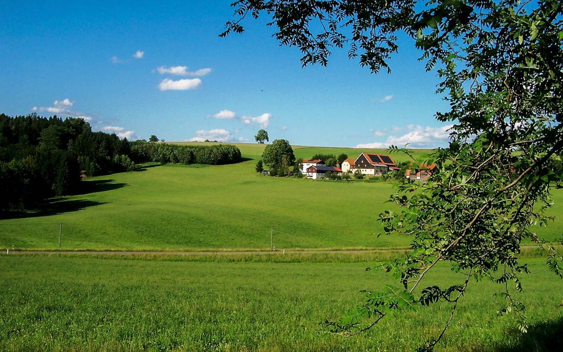 Photo of Others in Stammbach