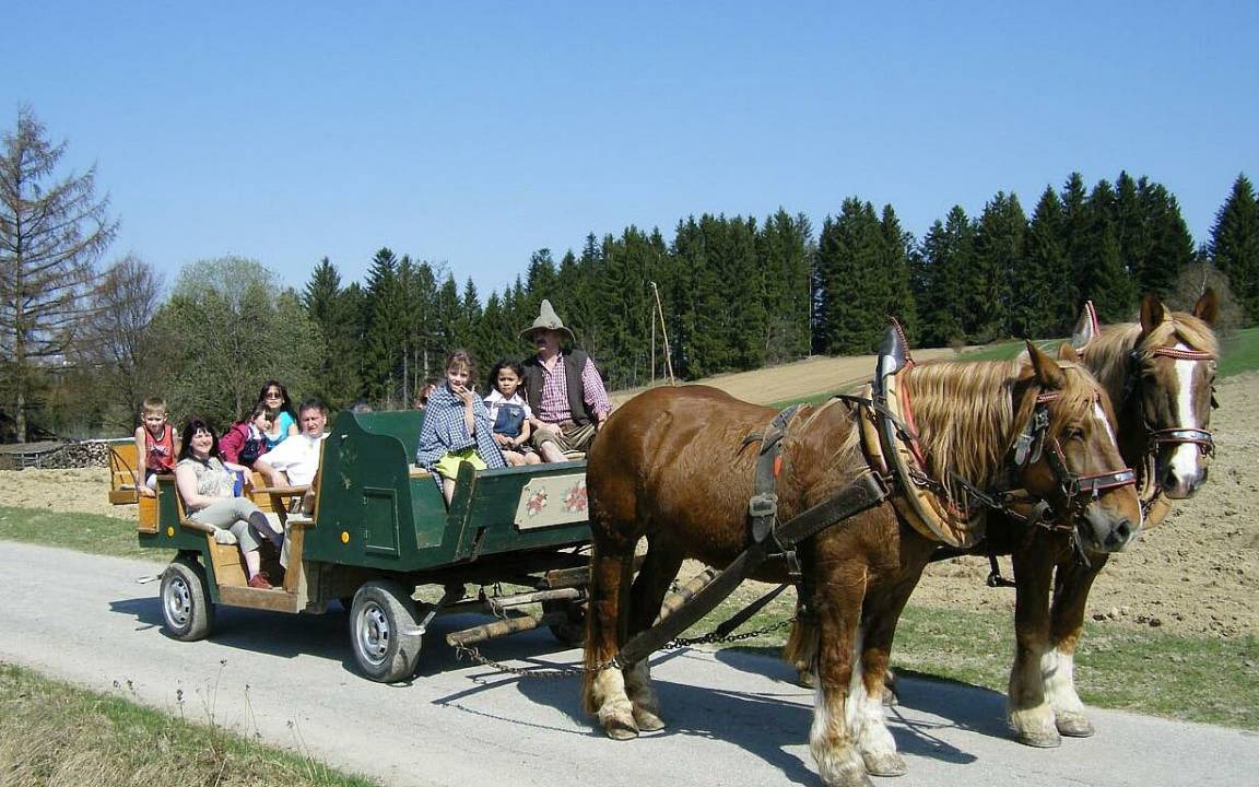 Photo of Others in Freyung