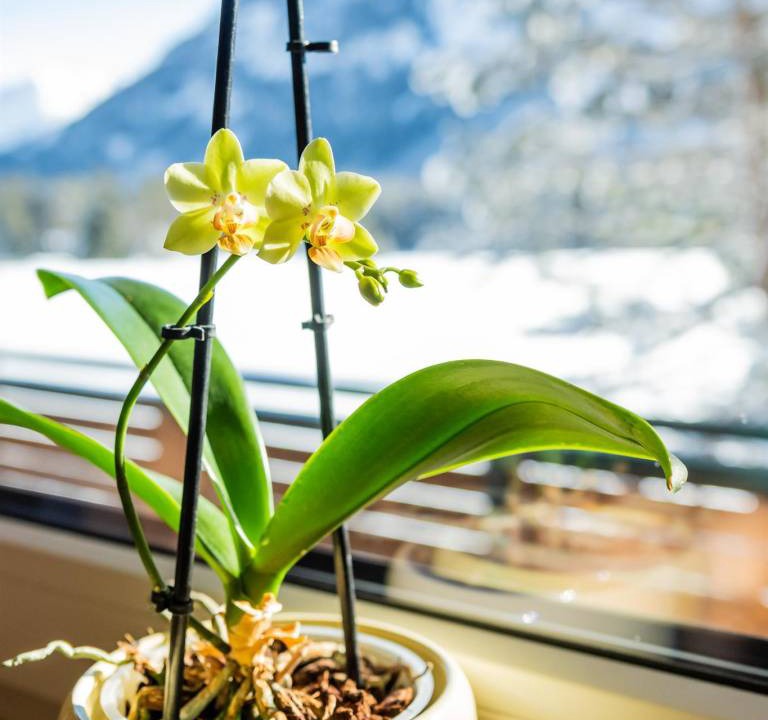 Photo of Others in Elbigenalp