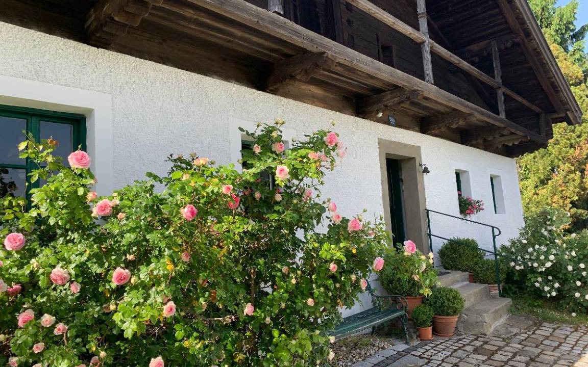 Photo of Others in Grafenau