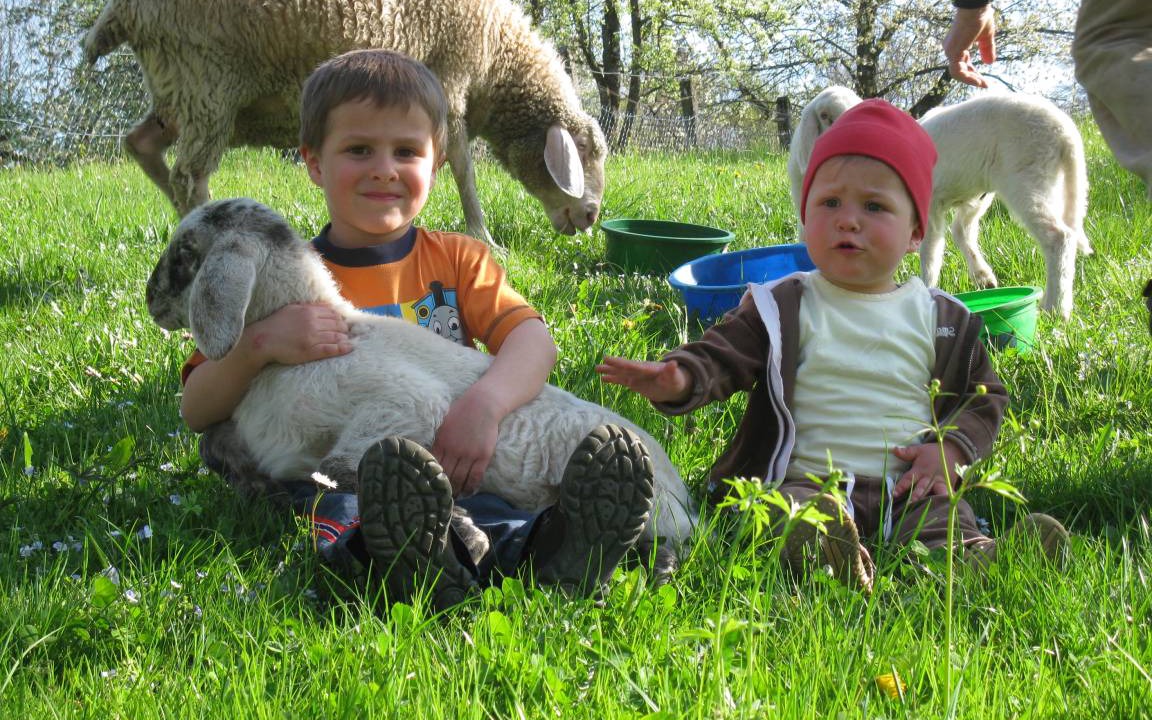 Photo of Others in Samerberg