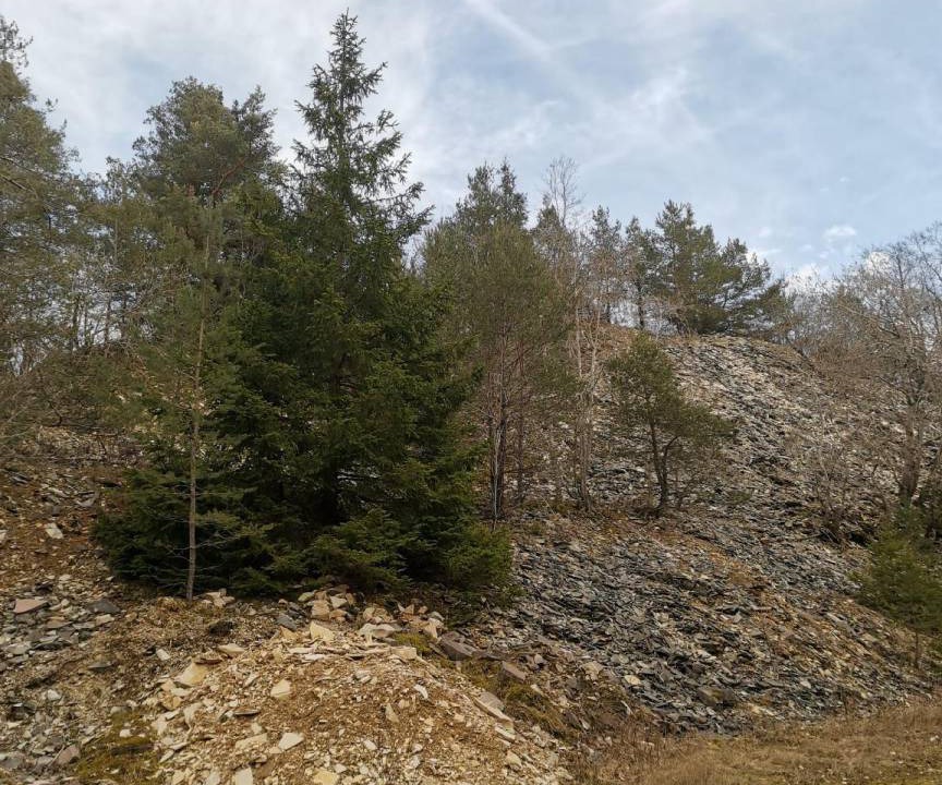 Photo of Others in Solnhofen
