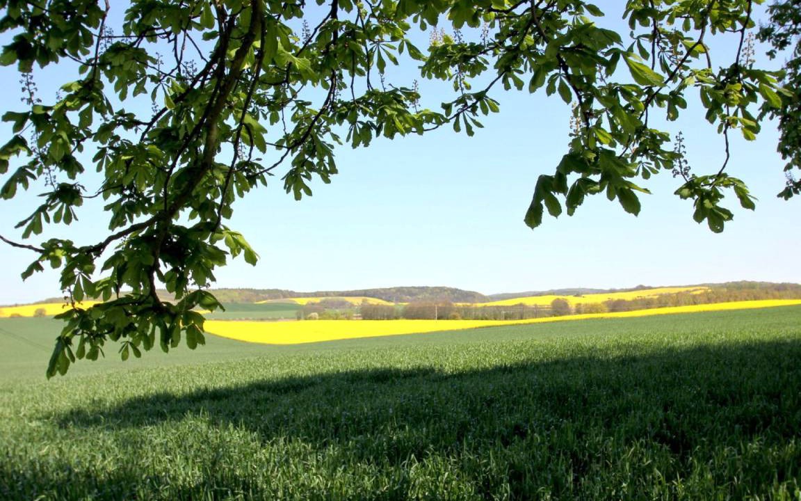 Photo of Others in Gohren