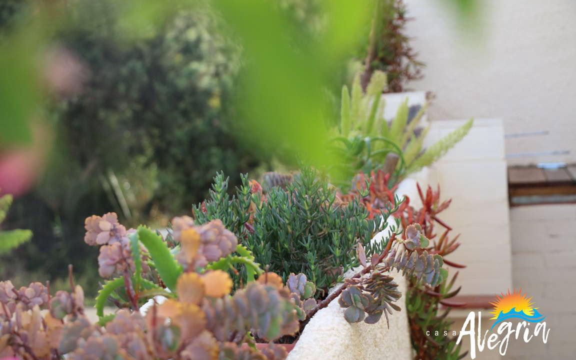Photo of Others in Vista de los Angeles-Rumina