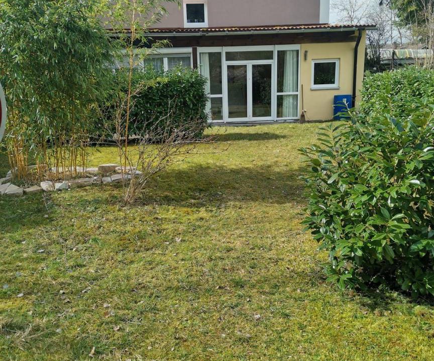 Photo of Others in Solnhofen