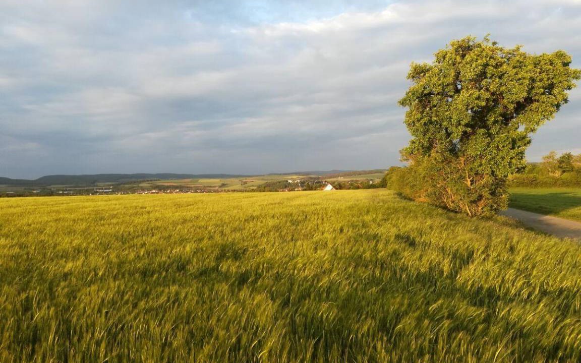 Photo of Others in Mellrichstadt