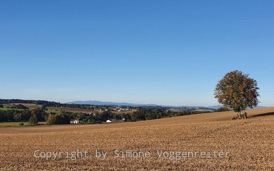 Photo of Others in Johanniskirchen