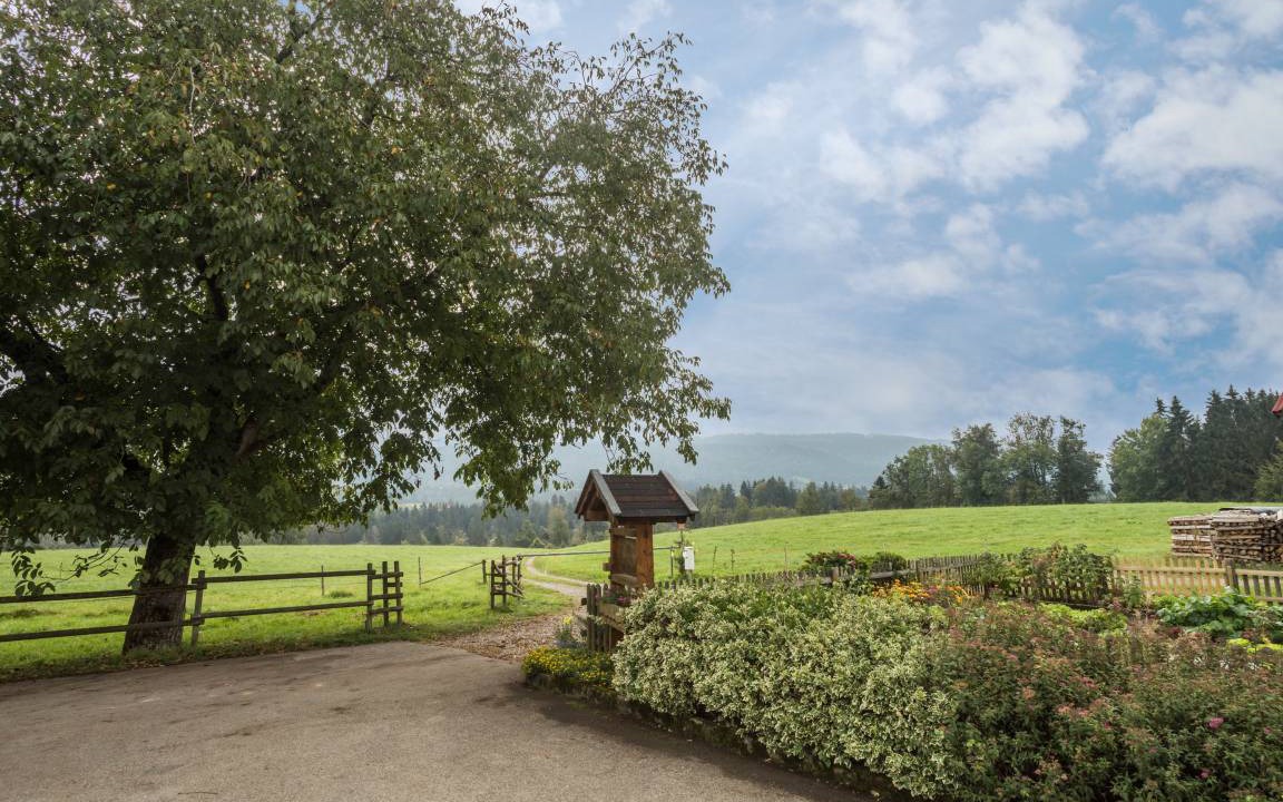 Photo of Others in Hergensweiler