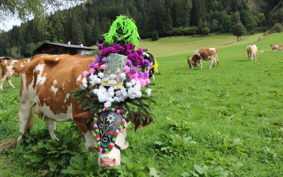 Photo of Others in Auffach