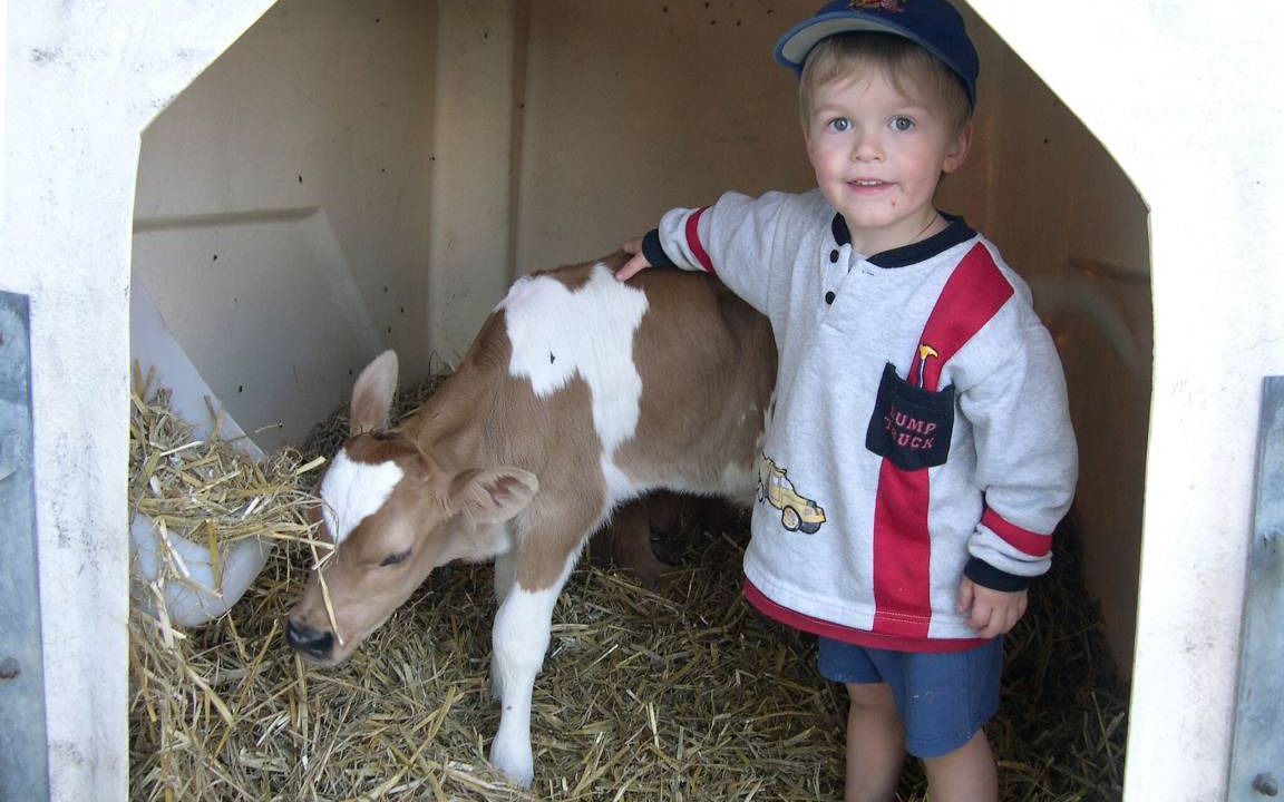 Photo of Others in Sankt Johann in Tirol