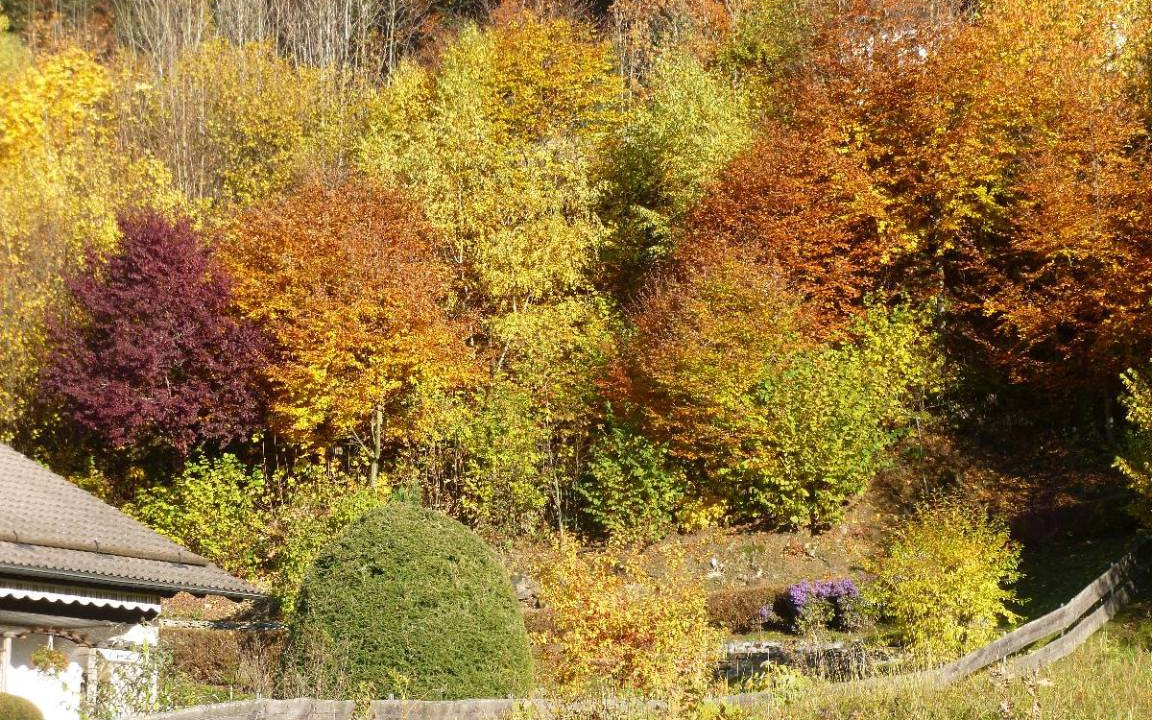 Photo of Outdoor in Habischried