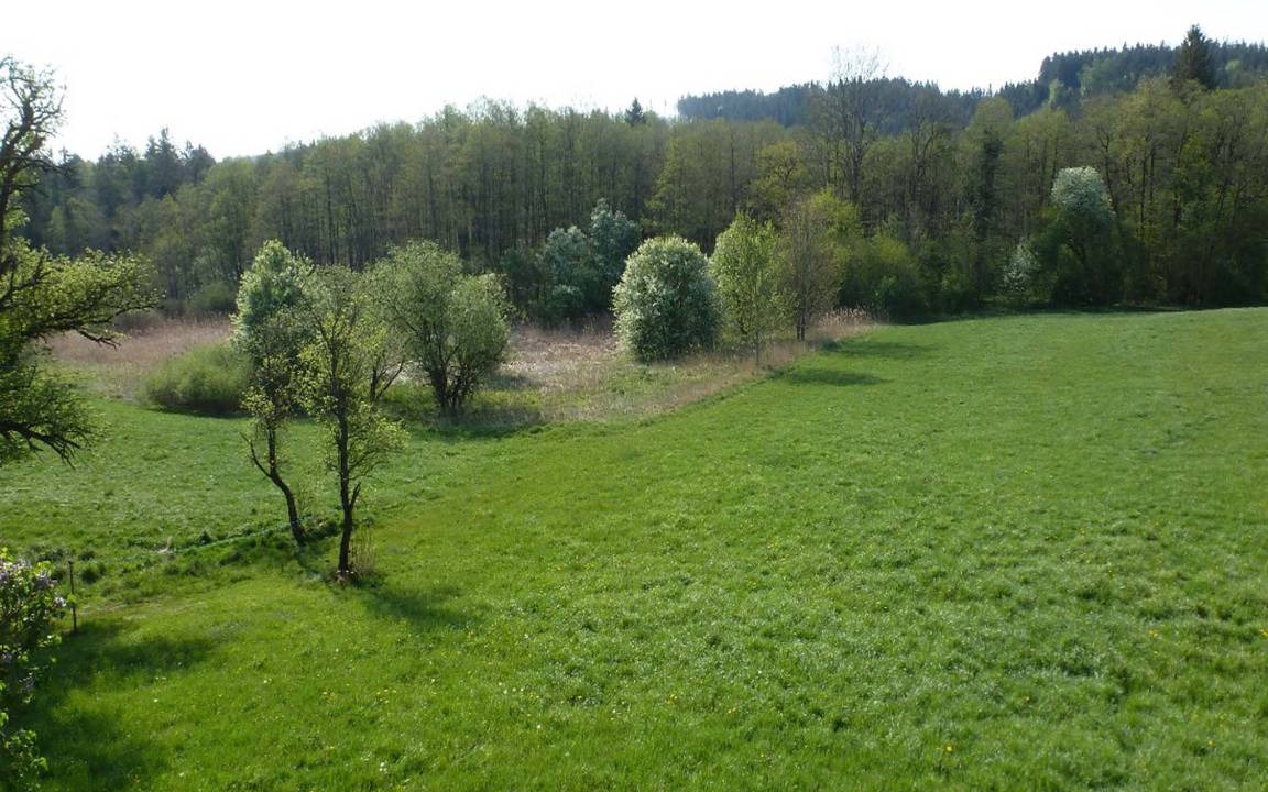 Photo of Others in Hoslwang