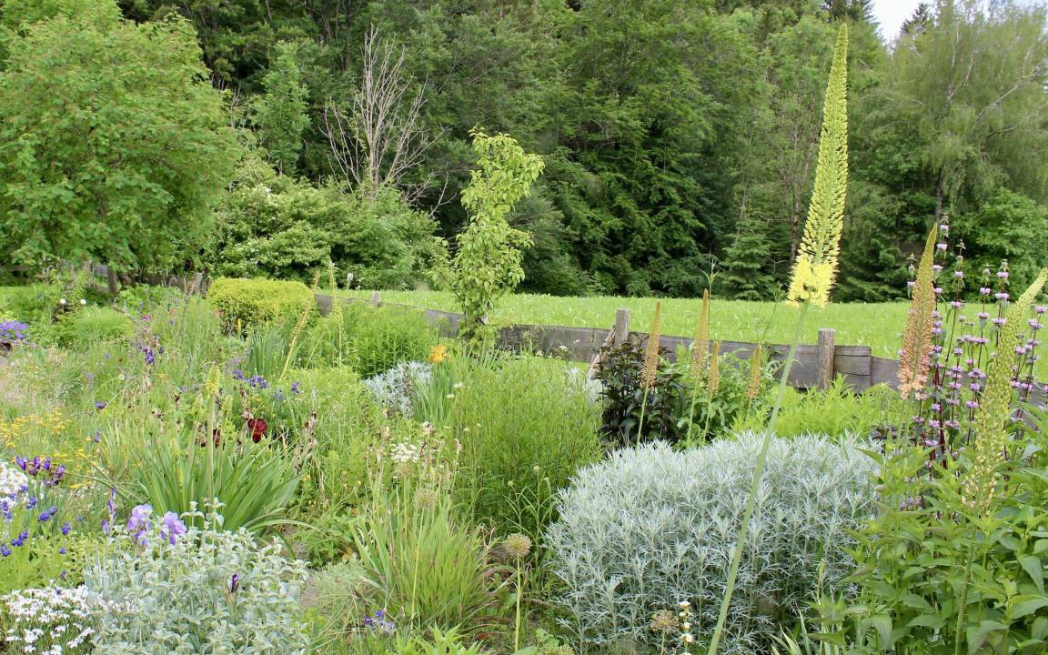 Photo of Outdoor in Niedersonthofen