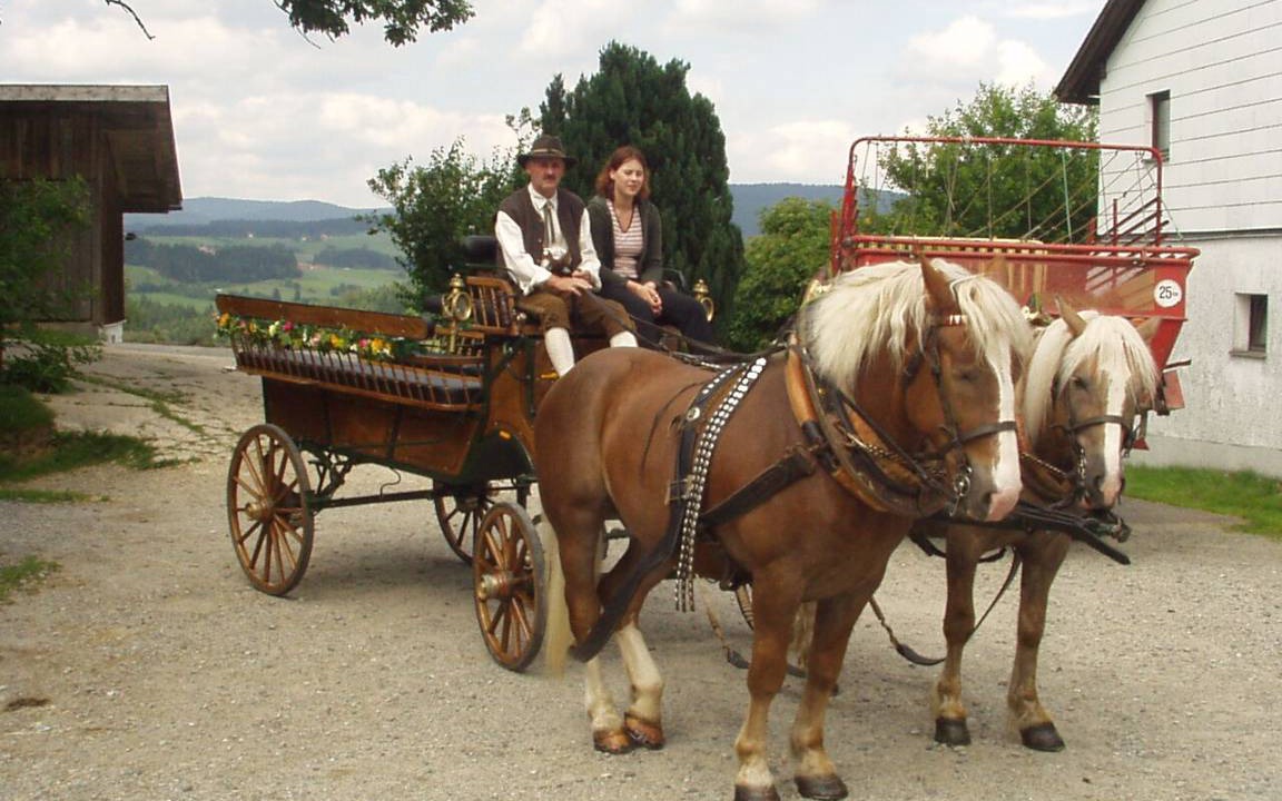 Photo of Others in Freyung