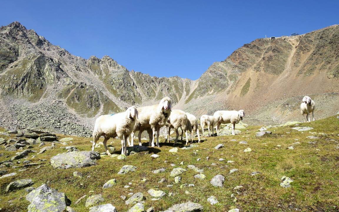 Photo of Others in Soelden