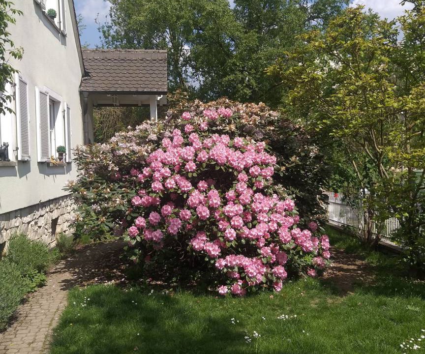 Photo of Outdoor in Muersbach